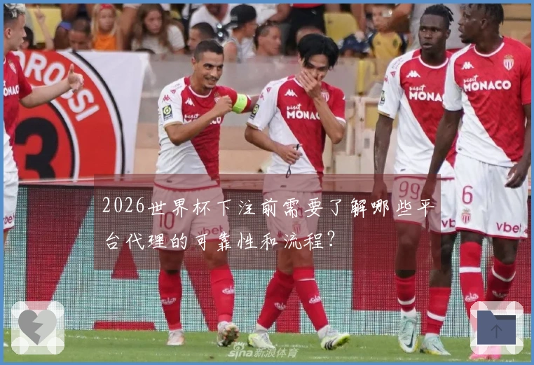 2026世界杯下注前需要了解哪些平台代理的可靠性和流程？